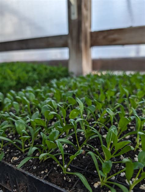 Reading the Room Now