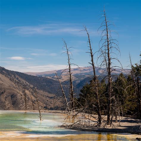 Download wallpaper 2780x2780 lake, mountains, trees, valley ipad air ...