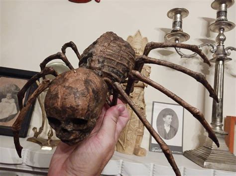 Half Spider, Half Human Child, All Horror! Sideshow Gaff Mummified ...