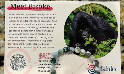 Image result for Stuffed Animals with QR Code Scanner