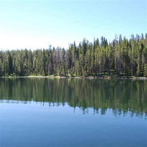 HEBGEN LAKE (West Yellowstone): Ce qu'il faut savoir pour votre visite ...