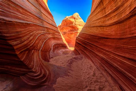 Image result for Merging Python Types