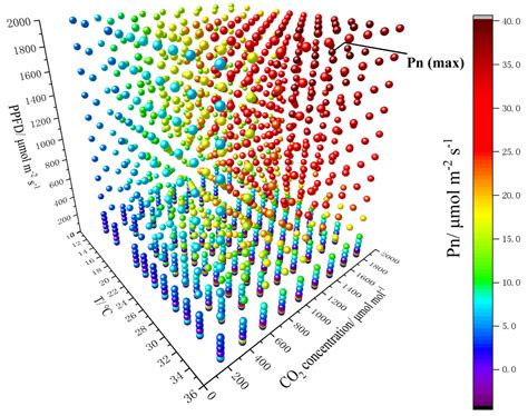 A Predictive Model of the Photosynthetic Rate of Chili Peppers Using ...