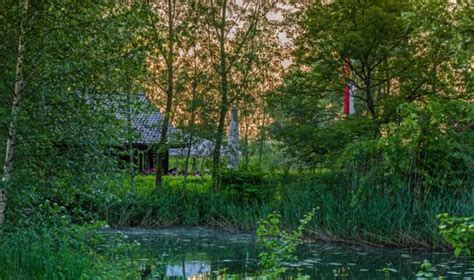 Tierklinik Schwarzmann | Urlaub am Bodensee, Vorarlberg