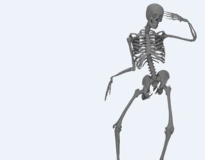 Bone Animation Programm 的图像结果