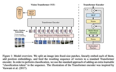 Vision Transformer 的图像结果