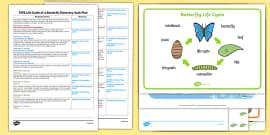FREE! - EYFS Life Cycle of a Butterfly Lesson Plan Pack