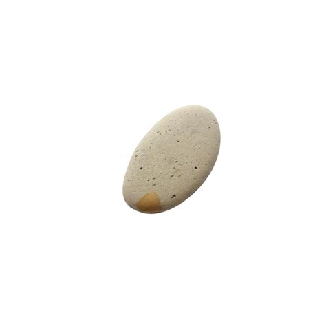 Single smooth white pebble with yellow markings | Premium AI-generated ...