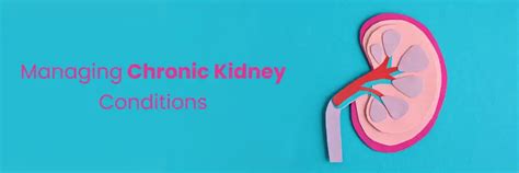 How to Manage Chronic Kidney Conditions in Hyderabad?