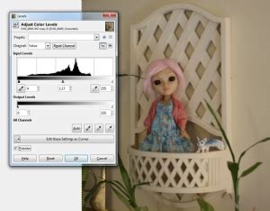 Image result for GIMP Basic Photo Editing