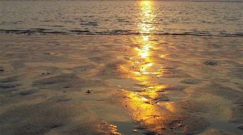 SUVALI BEACH (2025) All You Need to Know BEFORE You Go (with Photos ...