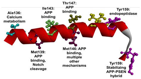 Genetics, Functions, and Clinical Impact of Presenilin-1 (PSEN1) Gene