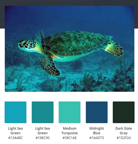 Python Turtle Color Palette 的图像结果