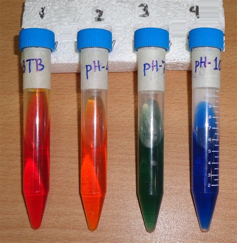 Image result for Bromothymol Blue Color Chart