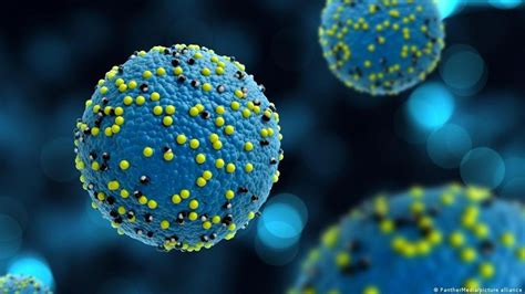 Image result for Virus Scanning Electron Microscope