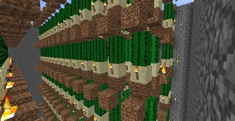 Image result for Cactus Farm Minecraft Java