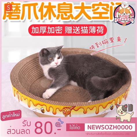 Boqi factory รางบอลทาวเวอร์ 3 ชั้น ของเล่นแมว รางบอลแมว พร้อมลูกบอล ...