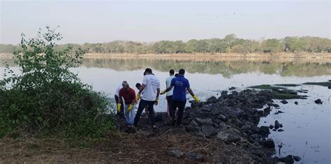 NMMC ‘Clean Water, Clean Mind’ Drive: Civic Officials, Volunteers Clean ...