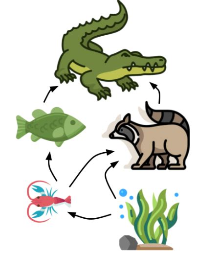 Local Food Web 的图像结果