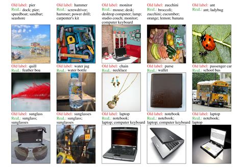 Label the Image Image Net 的图像结果