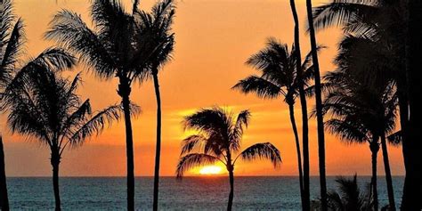 Makai Kahe Gold Hour Yoga w/ Yvonne, Wayfinder Waikiki, 6 February 2024 ...