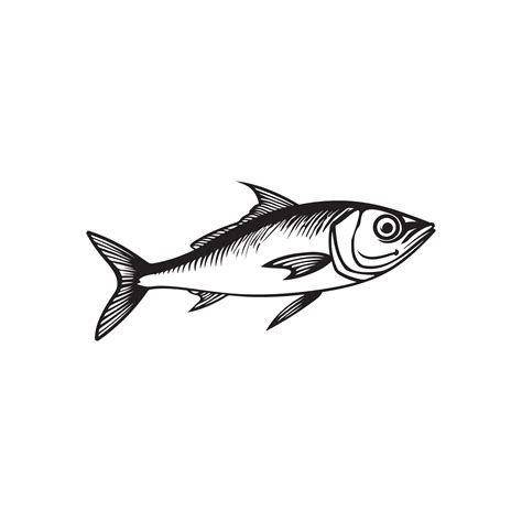 Fish Vector 的图像结果