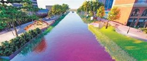 Canal Rejuvenation project gains momentum