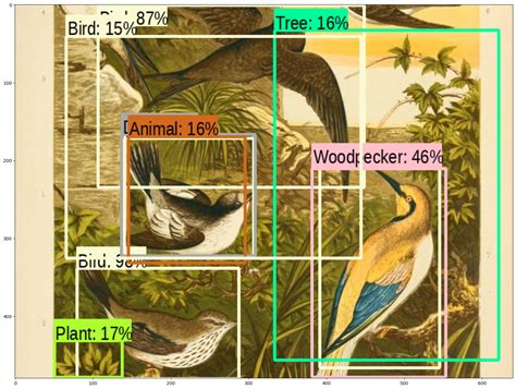 How Does Tensorflow Able to Detect Objects 的图像结果