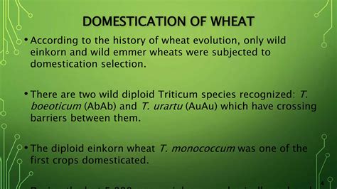 Domestication, evolution, genetics and genomics of wheat | PPTX - species of wheat