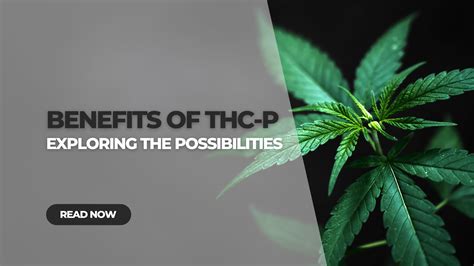 Benefits of THC-P: The Possibilities of this Potent Cannabinoid