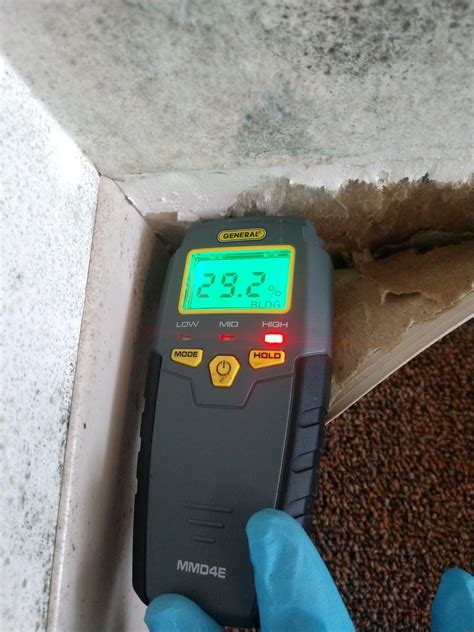 Image result for Mold Testing Flare