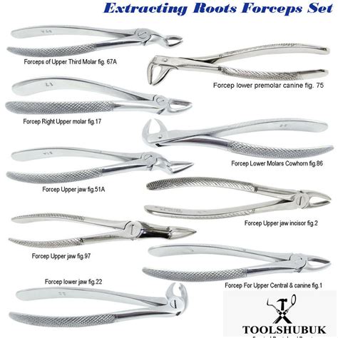 Upper Dental Extraction Forceps at Edna Weiss blog