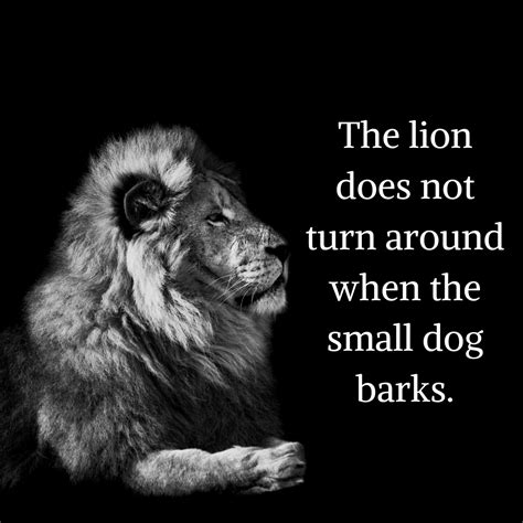 All Bark No Bite Quotes