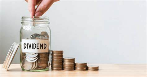 Dividendos – quais os principais conceitos desta bonificação?