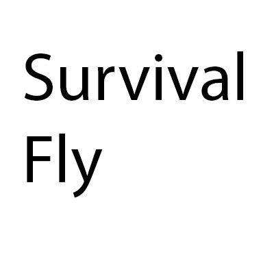 Image result for Minecraft Java Commands Fly