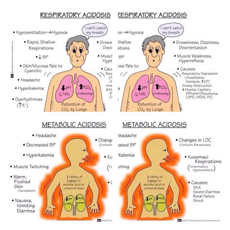 respiratory vs metabolic acidosis and alkalosis - Google Search | Nursing school survival ...