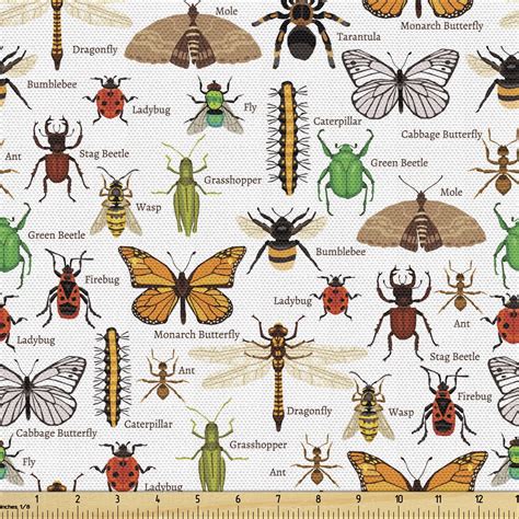 How Insects Fly 的图像结果