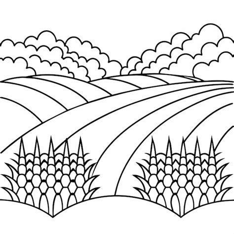 Desenho de páginas para colorir para jardim de lavanda ou jardim de ...