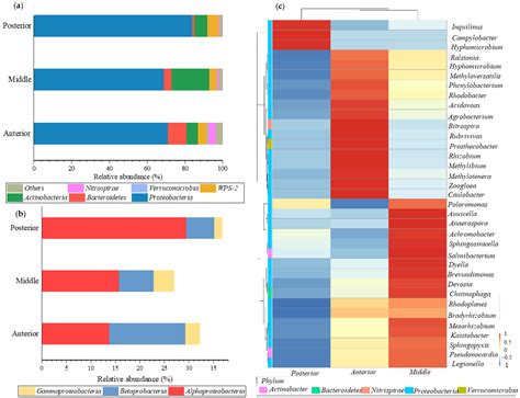 Removal Performances of Turbidity, Organics, and NH4+-N in a Modified ...