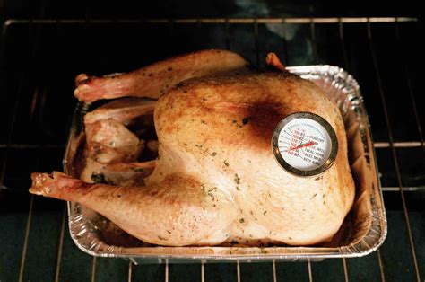 Where Do You Put The Meat Thermometer In A Turkey | Gas Furnace