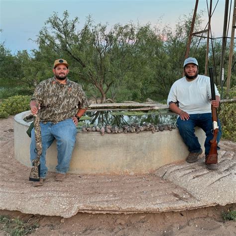 Texas Dove Season: 2024-2025 Hunting Dates & Information