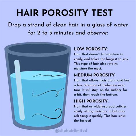 How To Determine Your Hair Porosity | Cliphair US