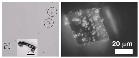 Towards an Understanding of Crystallization by Attachment