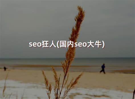 seo狂人(国内seo大牛) - 洋葱SEO