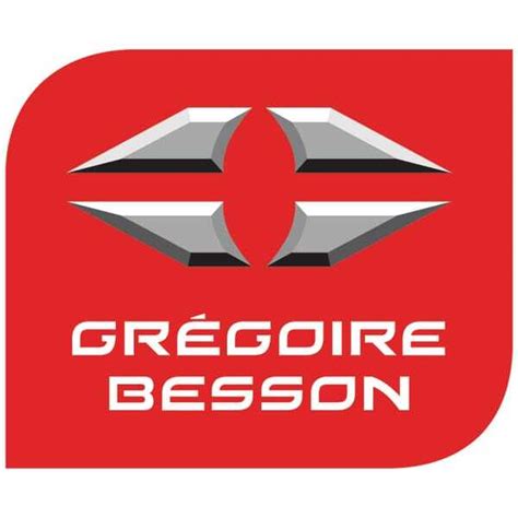 Image result for Gregoire Besson 4 SoCs