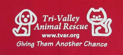 Adopt Adorable Dogs Saturday At Dublin Petsmart!, 6960 Amador Plaza Rd ...