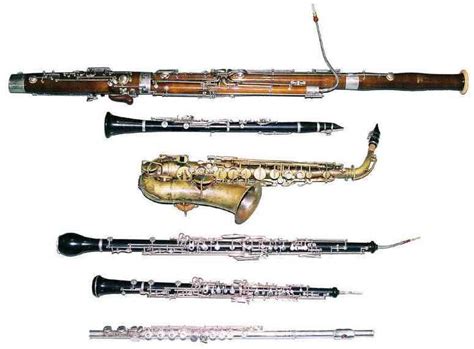 Image result for A Wind Instrument
