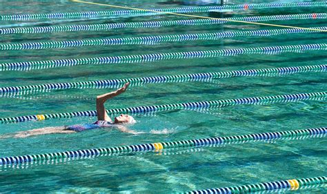Swim Meet 的图像结果