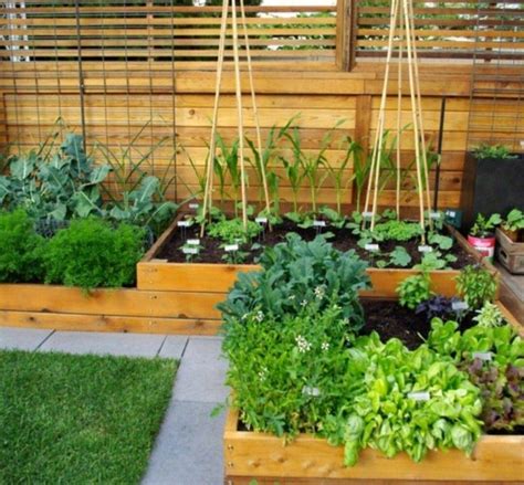 花园变身菜园 14款家庭小菜园赏析 - 家居装修知识网
