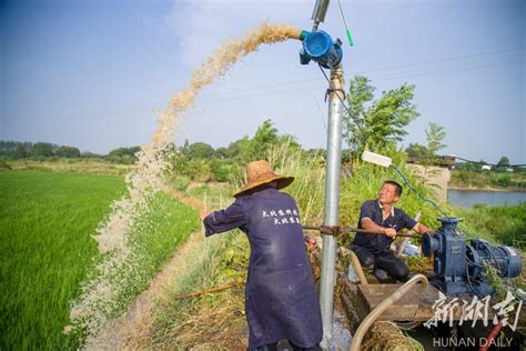 农村用来打水的水井，三个作用你用过几个呢？|水井|农村|作用_新浪新闻